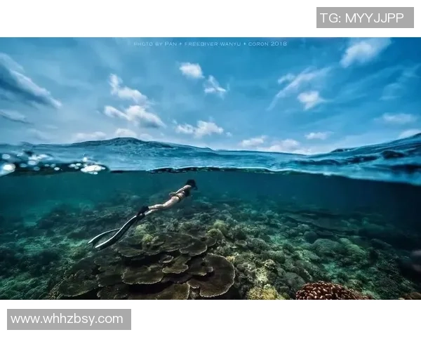 南京极限运动队与深圳极限运动队赛后状态分析与复盘探讨