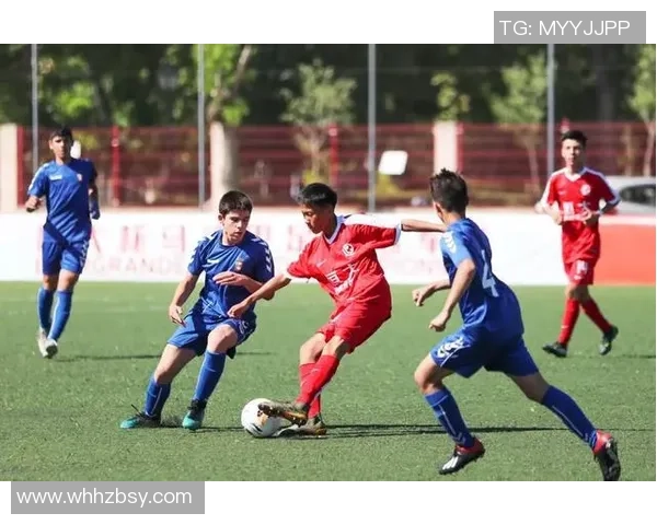 南京足球队的崛起之路：揭秘他们背后的力量与荣耀